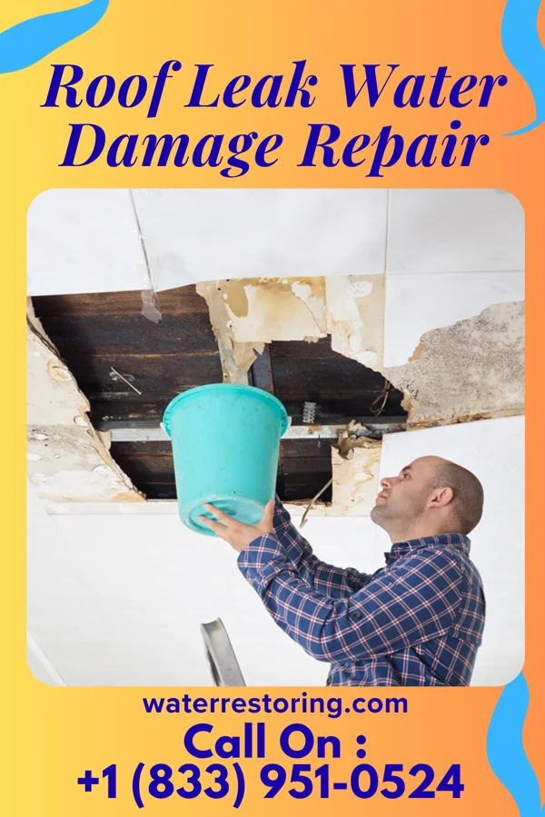 Roof Leak Water Damage Repair in Newton, UT